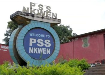 Cameroon kidnap: Bamenda students freed