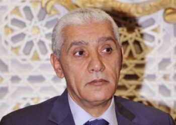 This is why we cannot host 2019 Africa Cup of Nations  – Moroccan Sports Minister