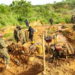 Ban on mining: 75% compliance achieved  – Ministerial committee