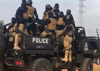 Valerie Sawyerr writes: Commando of the abattoir!