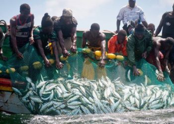 Gov’t ban fishing from May 15