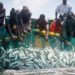 Gov’t ban fishing from May 15