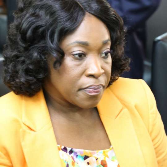 Ayorkor Botchwey drags AfricaWatch to court over Oslo embassy reports