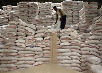 GUTA commends government on chicken and rice importation Ban