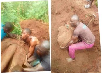 Photo: Farmer harvests ‘biggest’ yam in history