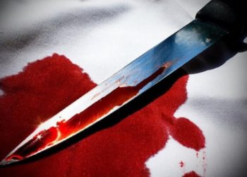 20-year-old boy arrested for killing mom