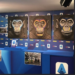 Serie A chief apologises for anti-racism ape artwork