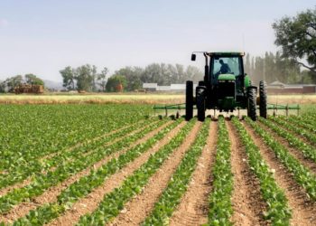 Zimbabwe to revive farming sector with $20 Million disbursement to farmers