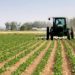 Zimbabwe to revive farming sector with $20 Million disbursement to farmers