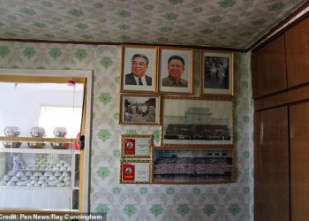 North Korean mother 'faces prison for saving her children from a house fire instead of portrait of Kim Jong-il'