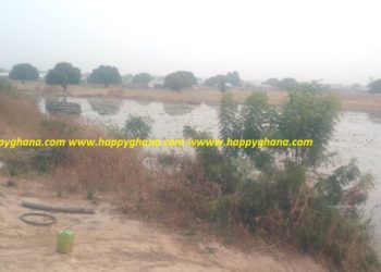 Severe harmattan worsening water scarcity as dams dry up in the North