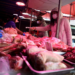 China bans wildlife trade nationwide amid outbreak