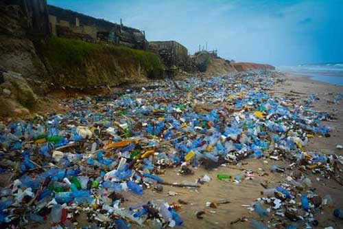 ‘Plastic is not waste, it is a resource’-GRIPE advocates for recycling