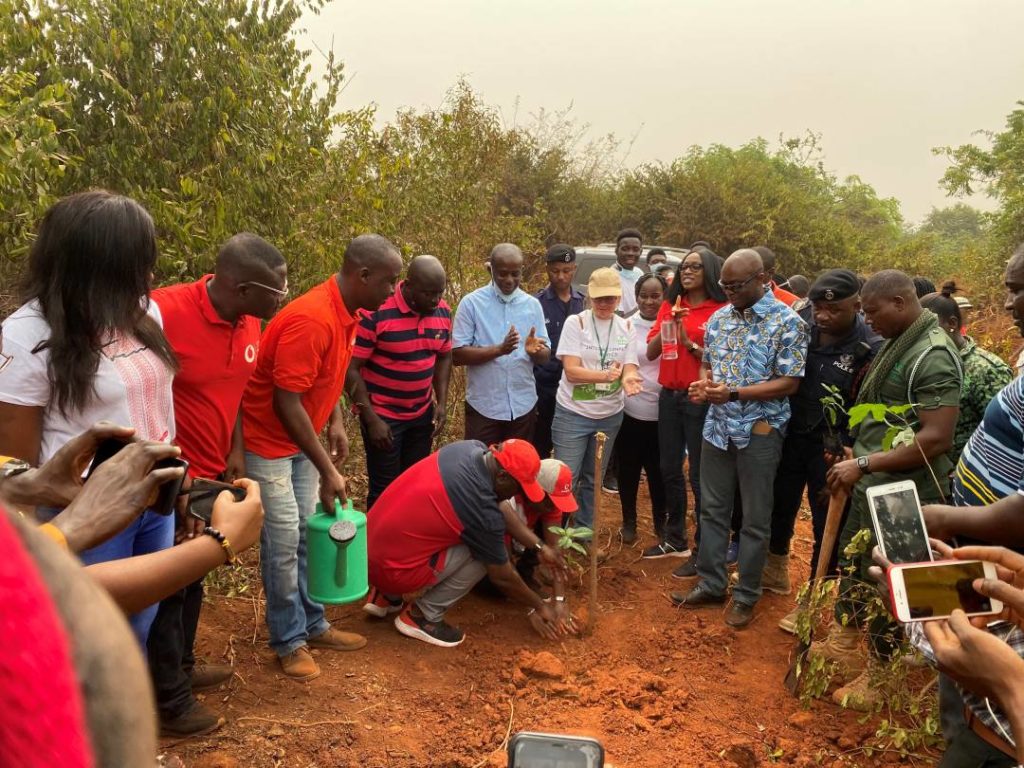 Vodafone tree planting exercise