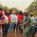 Vodafone tree planting exercise