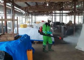 Zoomlion is not doing the market disinfection for free, govt will pay for it - Naa Torshie