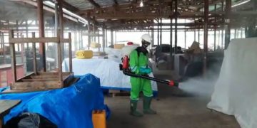 Zoomlion is not doing the market disinfection for free, govt will pay for it - Naa Torshie