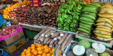 MoFA calls for nationwide farmer cooperatives to strengthen food security and agribusiness