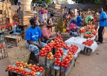 Prices of oil reduced, rice expected to increase by Friday – Market women cry