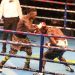 COVID-19: GBA may resort to pay-per-view to generate money for boxers- Alhaji Tophic