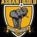 AshantiGold majority shareholder Dr Frimpong chairs club’s new board of directors