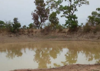 Dig better dams for N/R farmers - Gov't told