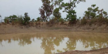 Dig better dams for N/R farmers - Gov't told