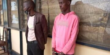 EC sacks two officials over illegal registration