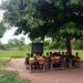 Teacher training allowances not important when schools are under trees – Africa Education Watch