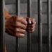 E/R: 25 year old man sentenced to ten years in prison for trafficking Nigerian women for prostitution