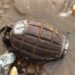Grenade at our beaches could indicate a terrorist invasion - Security Expert warns