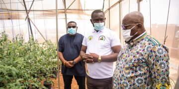 Prez Nana Addo commissions 75 Greenhouses to boost vegetable farming