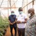 Prez Nana Addo commissions 75 Greenhouses to boost vegetable farming