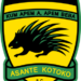 Today In Sports History: Asante Kotoko thrash El Mahalla 3-0 in African Cup Winners Cup