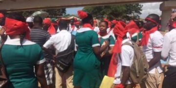 Our strike has shown how important we are - Nurses and Midwives Association justifies strike action