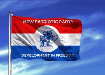 Focus on saving the image of the NPP – Party faithful advised