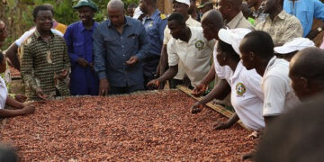 It is scandalous to say we didn’t give out free fertilizers to cocoa farmers – NDC