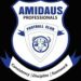Relegation staring in the face of Amidaus Professionals