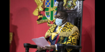 Bagbin