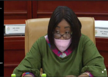 Take up issues with Head of EU over LGBTQ sponsorship in Ghana - Ayorkor Botchway told