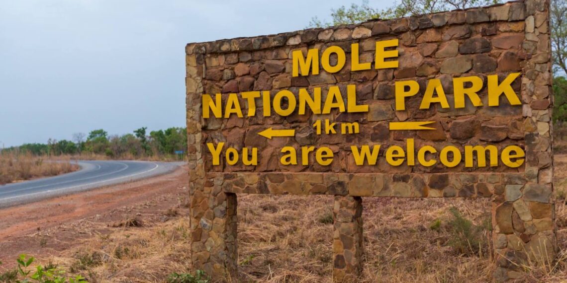 Mole National Park has not been leased out for mining - Minerals Commission