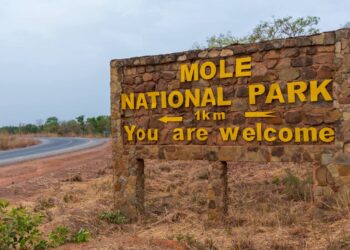 Mole National Park has not been leased out for mining - Minerals Commission