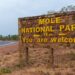 Mole National Park has not been leased out for mining - Minerals Commission