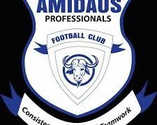 Amidaus Professionals banned from Division One League