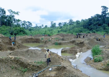 Mining in forest reserves not a crime if…-Smale Scale Miners