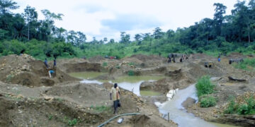 Mining in forest reserves not a crime if…-Smale Scale Miners