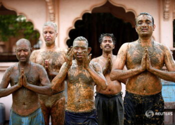 Indian doctors warn against cow dung as COVID cure