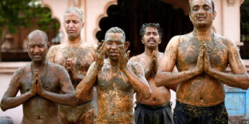 Indian doctors warn against cow dung as COVID cure