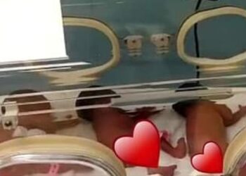 A Malian woman has given birth to nine babies, in what would be an extremely rare case.