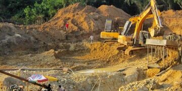 UTAG calls for instant ban on mining in forest reserves
